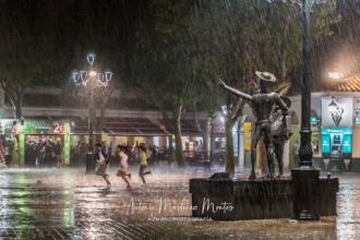 <b>Primer Premio</b>