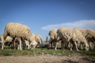 <b>Primer Premio</b>