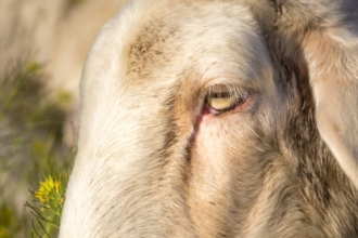 <b>Primer Premio</b>