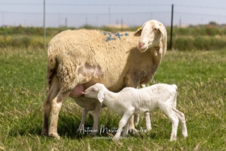 <b>Segundo Premio</b>