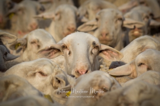 <b>Primer Premio</b>